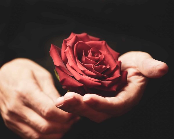 Les occasions idéales pour faire livrer un bouquet de roses éternelles au travail