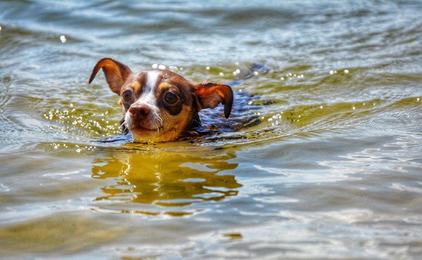 Quels sont les meilleurs moyens pour les femmes de débuter dans la photographie de portrait ?