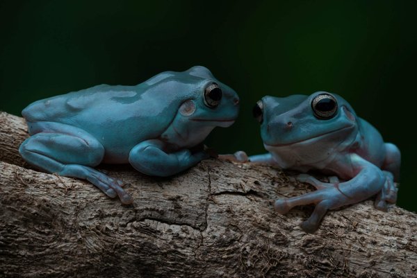 Comment intégrer des chaussures colorées dans une garde-robe neutre ?